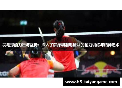 羽毛球的力量与坚持：深入了解深圳羽毛球队的耐力训练与精神追求